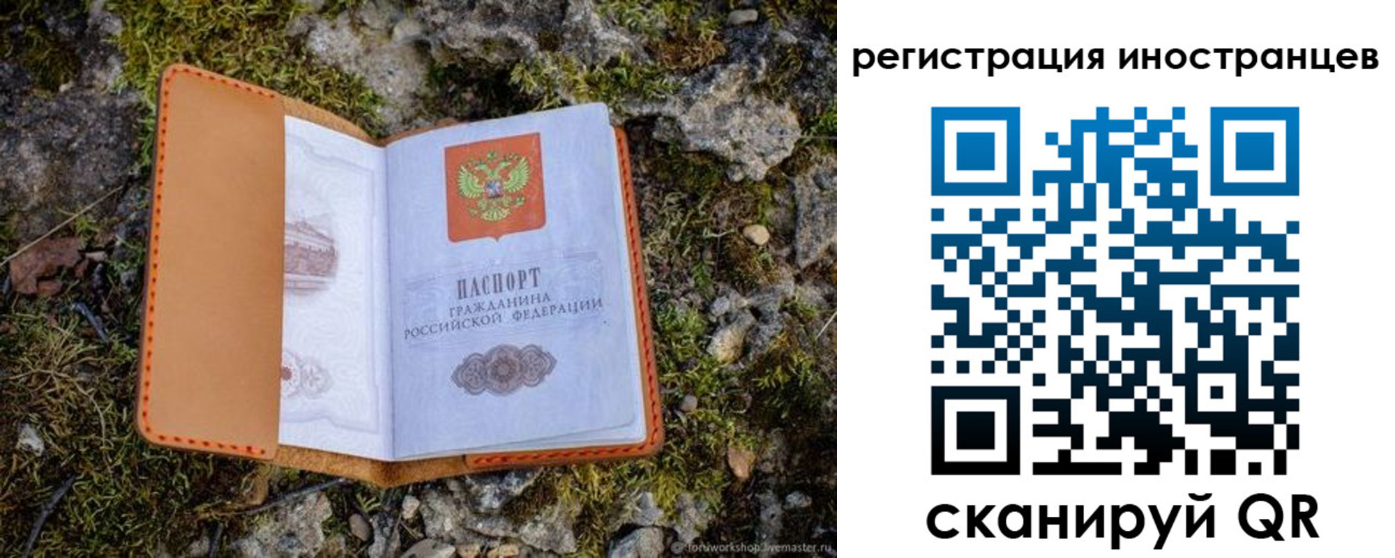 прописка паспорт в Чаплыгине
